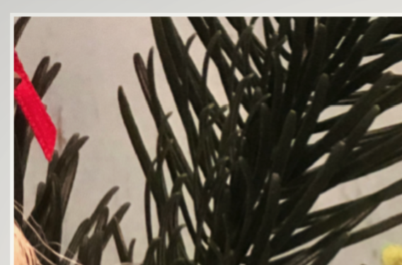 Freebie Stickdatei Tannenbaum 10x10 cm