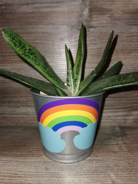 Free cutting file *#itwillbeok* and encouragement rainbow